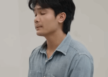 D2611082 คนแอบอ าง