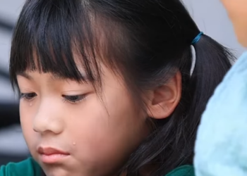 D0512030 าวม นไก ฟร กค าคนท 100(ละครส น) หน งส นด BSC part2