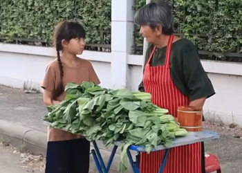 D0512060 แผงผ กมหารวย(ละครส น) หน งส นด BSC part2