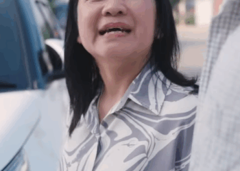 D2611134 อค ากะเพรา