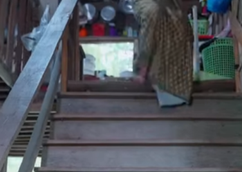 D1712053 ทารก ยมบาล part2