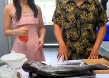 D2701012 แม าโกงน ำหน กปลา(ละครส น) หน งส นด BSC part2