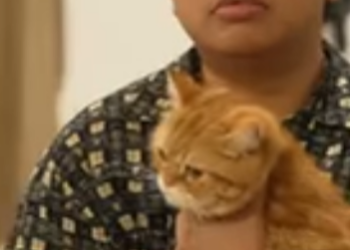 D3101141 เร องราวความร กของสาวพรสวรรค part2