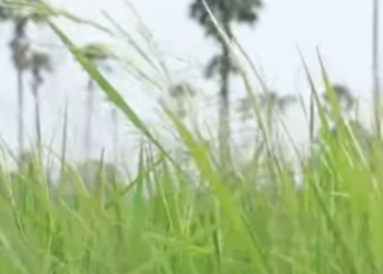 D1401004 ชายคนน vโมยน ำอ ดลมไปทำอะไร (ละครส น) สามโคกฟ part2