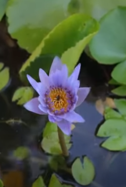 D1401322 คSอบคร วมXาภ ยต องเจOแบบน (หน งส น) สามโคกฟ part2