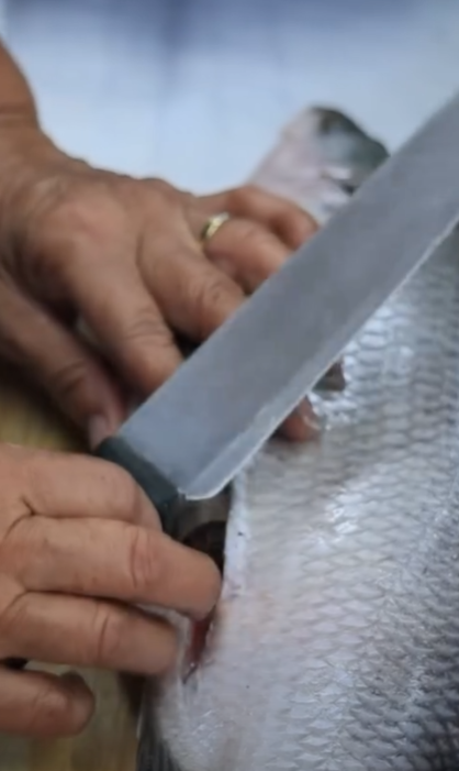 D1401381 คนเS อนเอาทอVย ดใส ปลาทำไม (หน งส น) สามโคกฟ part2