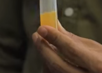 D1401393 เธOแหกค กมาพบS (หน งส น) สามโคกฟ part2